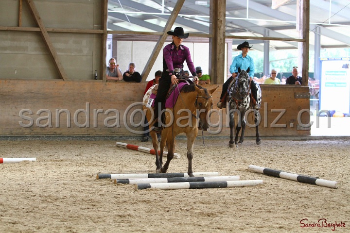 26-ApHC GT_016.jpg